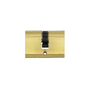 Double Profile Cylinder