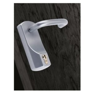 ExiSAFE Outside Access Device - Lever