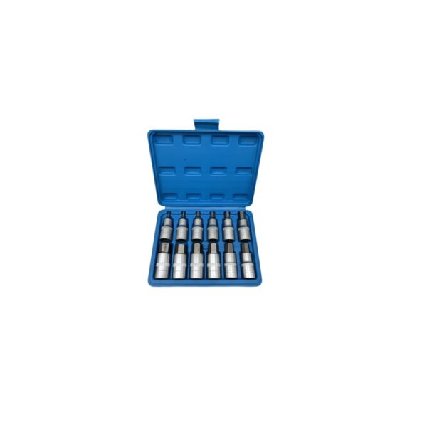Hex Bit Socket Set 1/2"Dr 12PCs